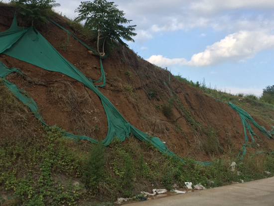 【啄木鸟在行动】凤凰国际小区东门附近渣土覆盖不全