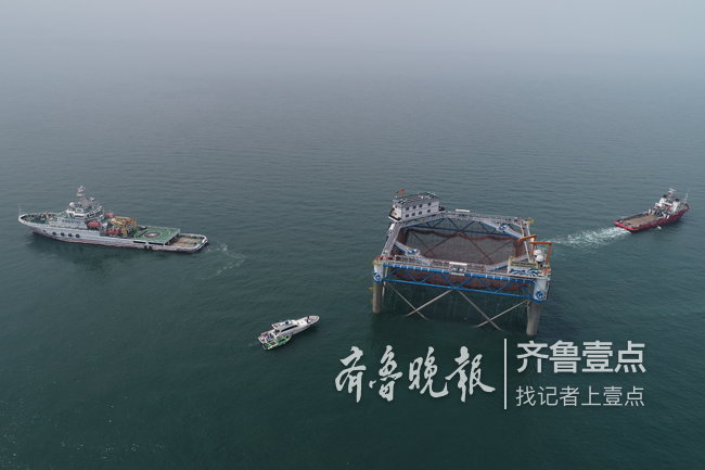 国内首座智能化网箱安家烟台大钦岛，每年能养千吨鱼