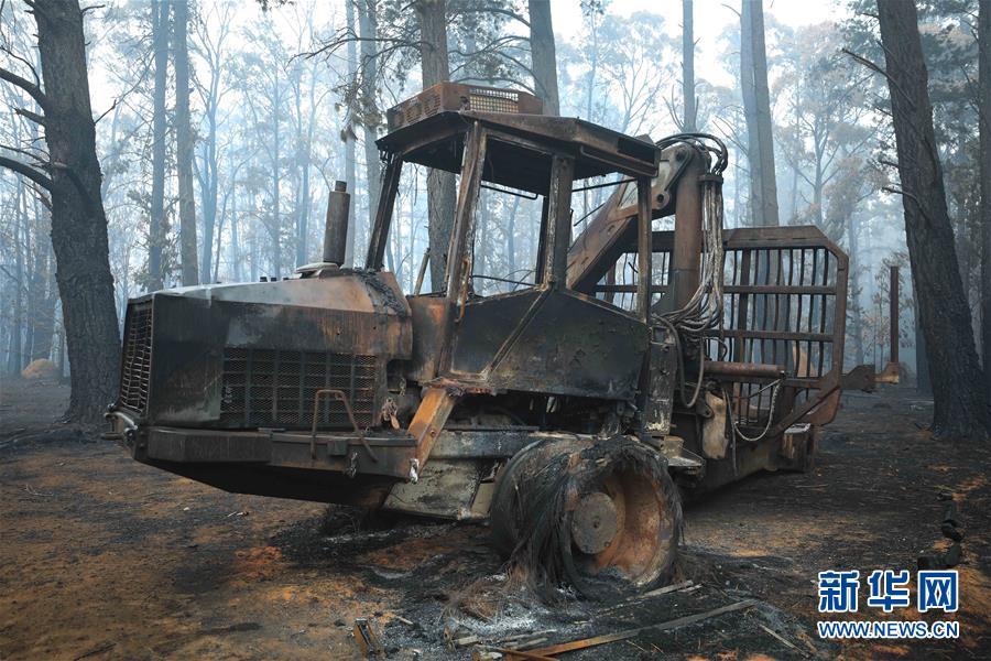 澳大利亚：探访林火过后的村庄