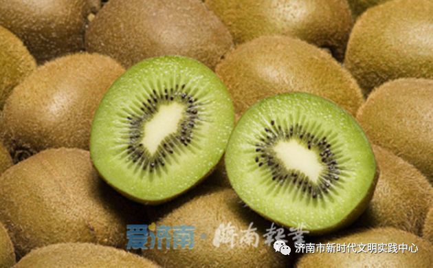 我在湘西种棵树 