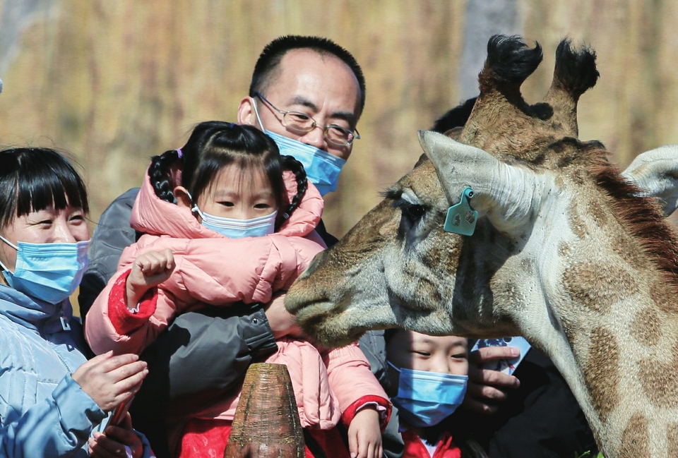 多彩活动闹元宵