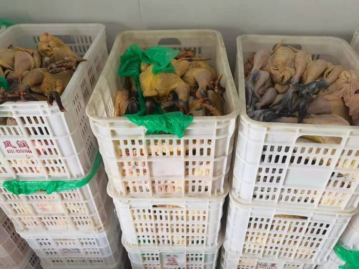 两千多只白条鸡疑存问题，屠宰企业发现后主动上报销毁