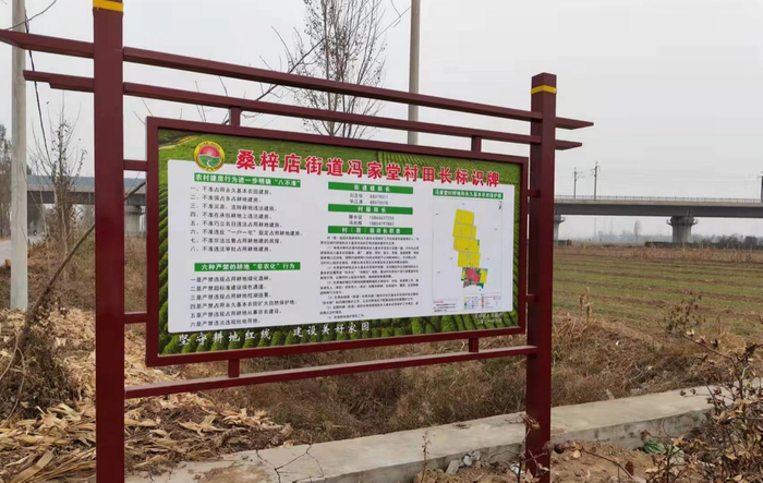 “五抓五创”党建引领，济南市自然资源和规划局为高质量发展提供有力支撑