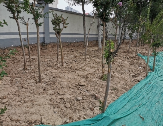 【啄木鸟在行动】日照路、机场西路交叉口西南角渣土裸露