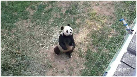 国庆假期已开启“人人人我人人人”模式，你那里人多吗？来跟记者畅游山东吧