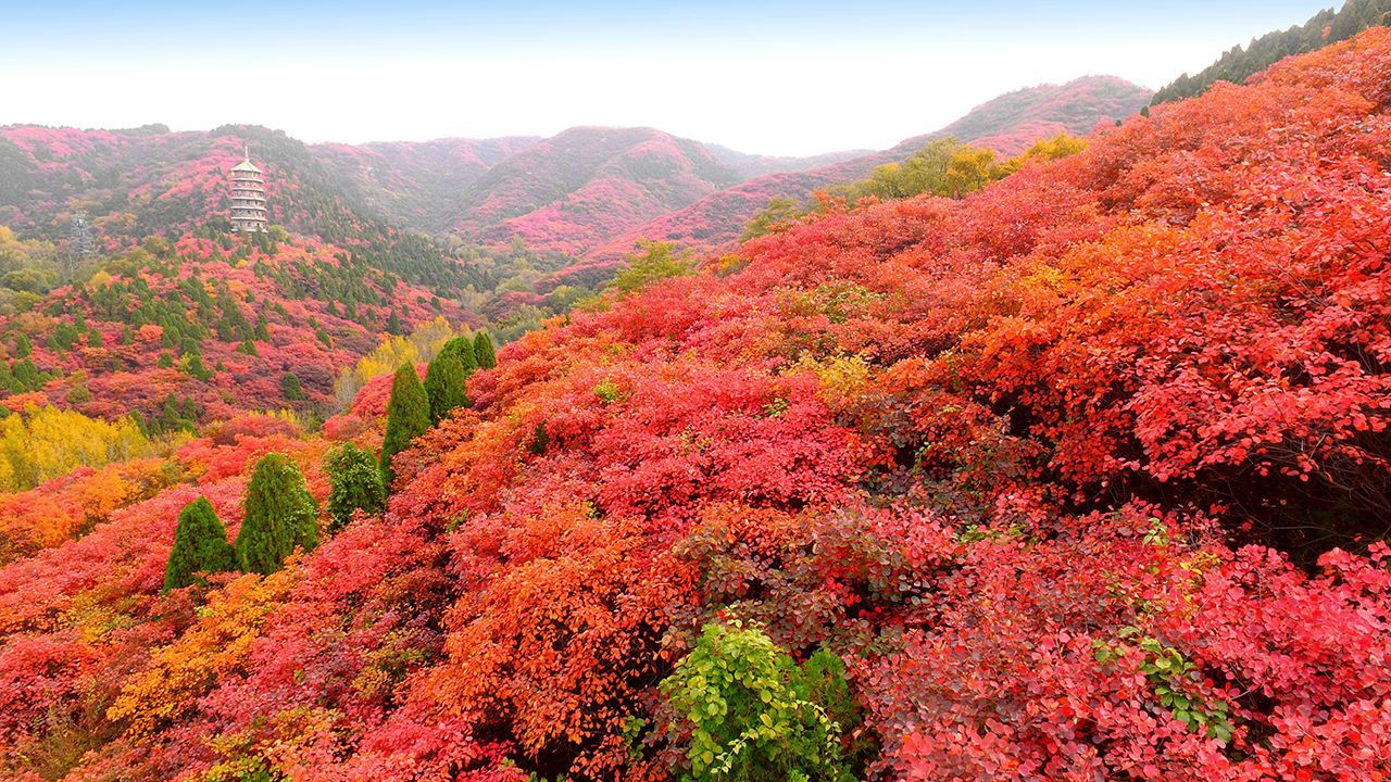 山东→灿东→汕东？请查收这份“入秋指南”！