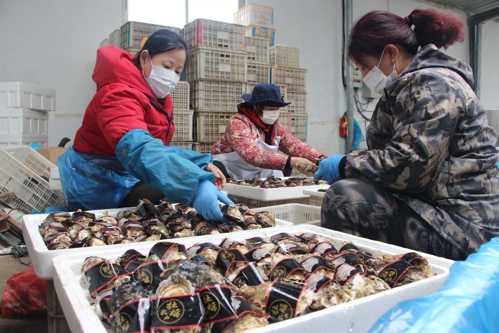 办公室里赏牡丹，可行吗？看山东特色农产品如何逆境突围