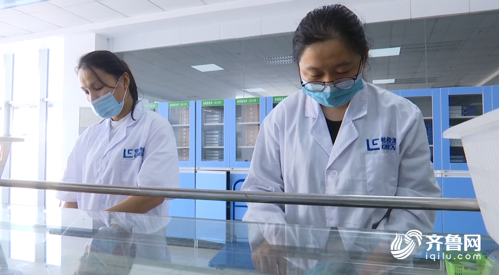 放心吃！山东蔬菜主产区生产的蔬菜产品质量抽检全部合格