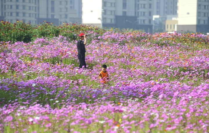 坐地铁赏花海，济南轨交3号线新站开通