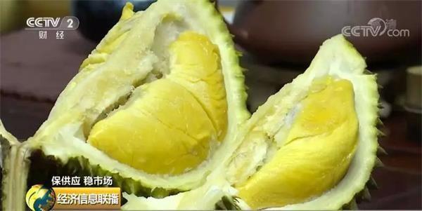 水果敞开吃！收获季水果价格回落 还带来新机会 