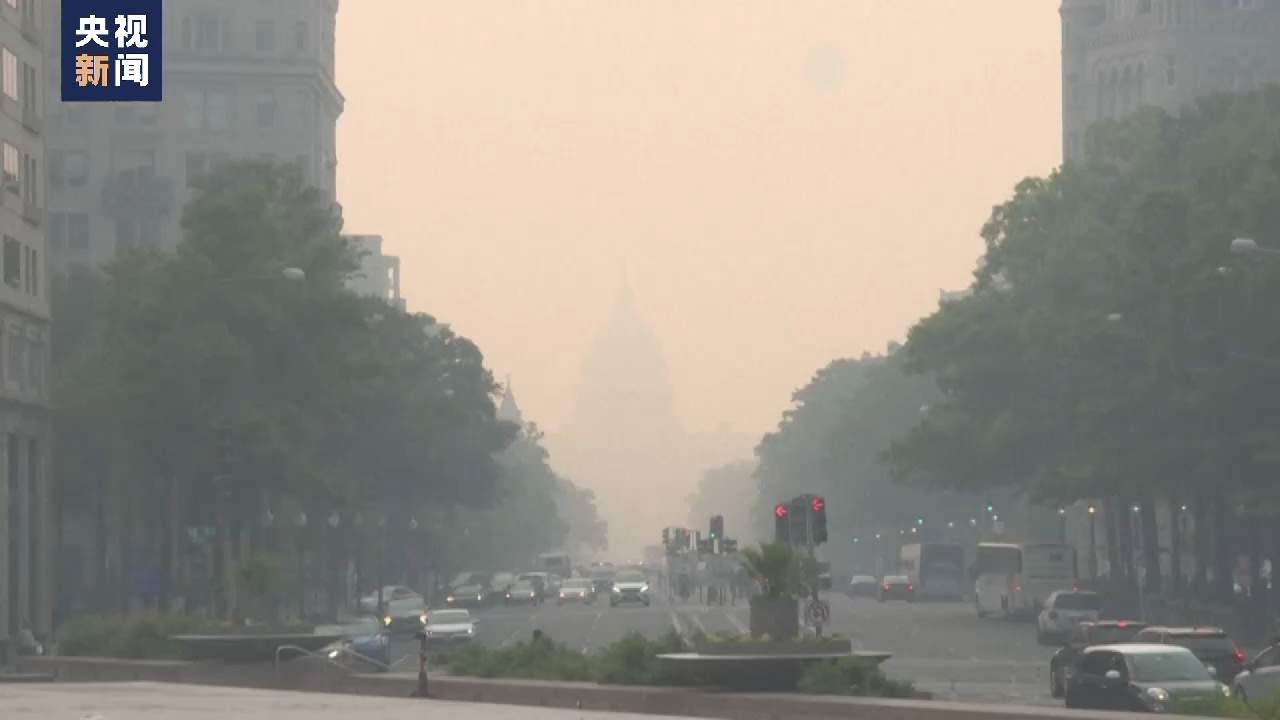 加拿大野火肆虐影响美国，野火频发已成全球性问题