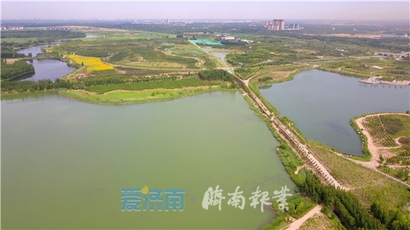 济南报业记者探访龙湖湿地美景如画让人陶醉
