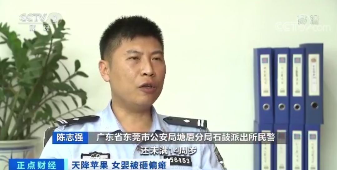 11岁女童24楼扔下苹果，砸中女婴致十级伤残！谁来赔？