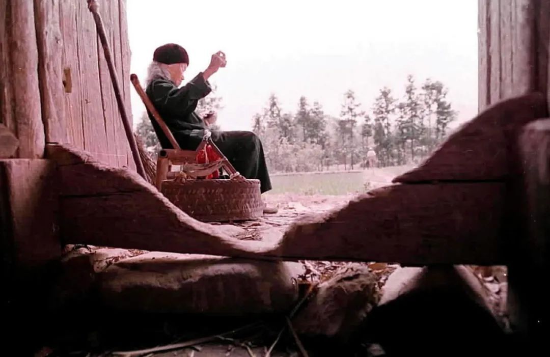 只为一个“等”字，她守候了七十多年