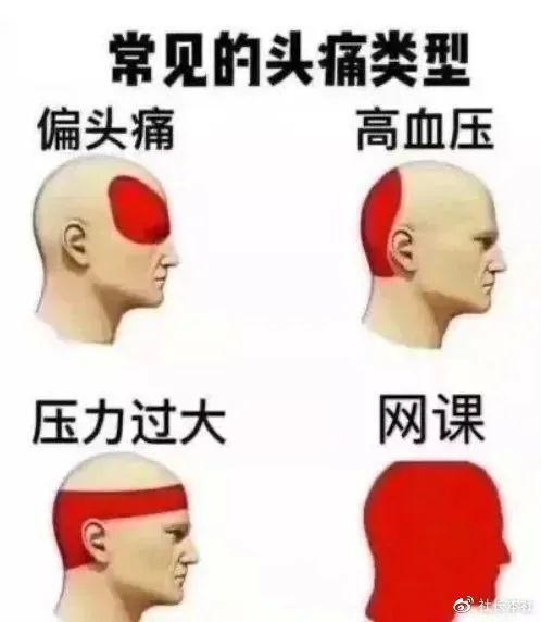 笑到打嗝！鸡在网课上打鸣结果被宰了！老师：有事好商量啊