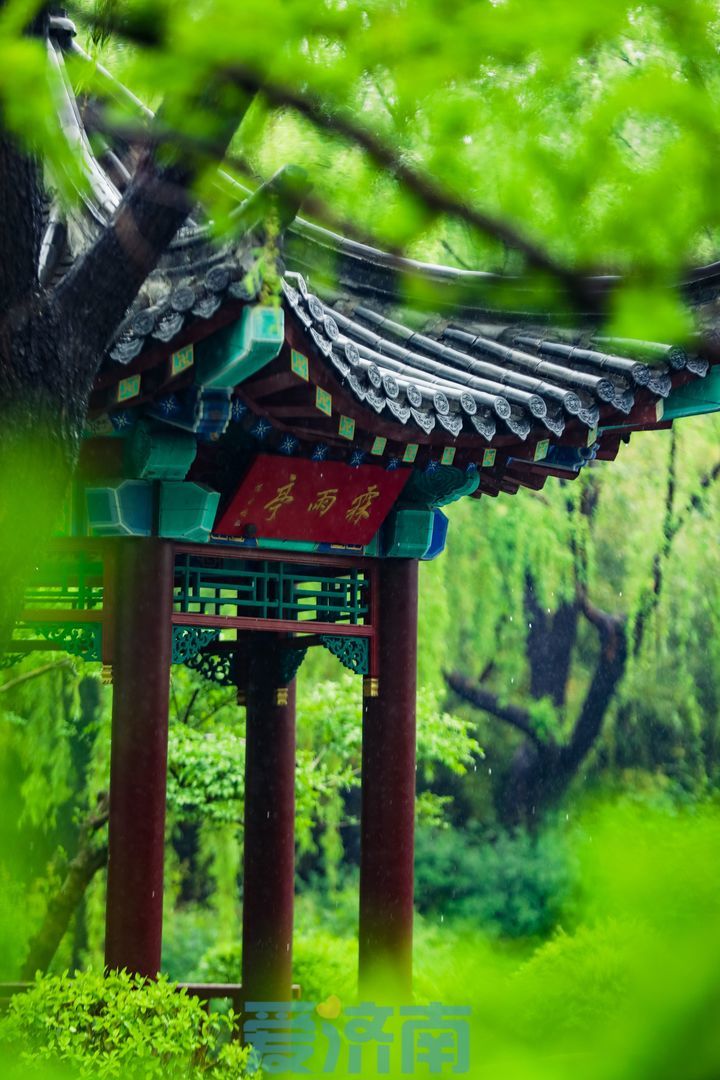 斜风细雨 水泛涟漪 雨中的五龙潭如诗如画