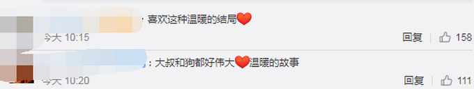 “狗妈妈冲入洪水救小狗”后续：目前被宠物店照顾，已有爱心人士收养