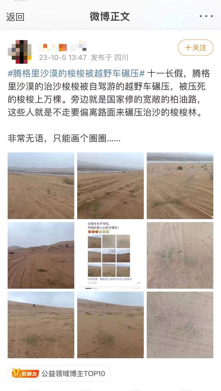阿拉善腾格里沙漠治沙植物被游客碾压？绿化基金会回应
