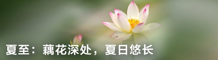 突破10亿！关于新冠疫苗，还有一些信息你应该知道