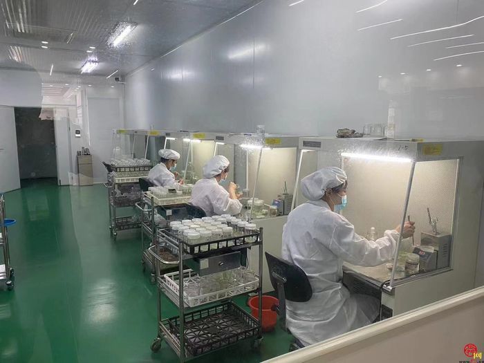 打造北方种业之都正逢其时 “商量”调研济南优势和底气