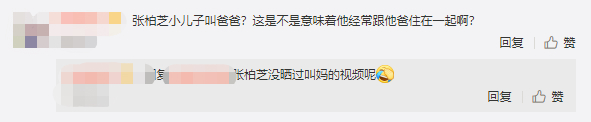 张柏芝晒小儿子喊“爸爸”,却迅速删除?网友:孩子跟爹常一起?