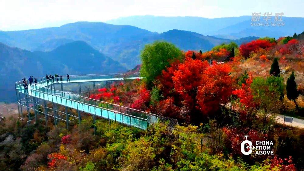 秋意浓！来看看新华社镜头下的秋日济南