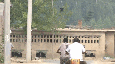 什么仇什么怨？山东男子3年被鸟啄70多次！