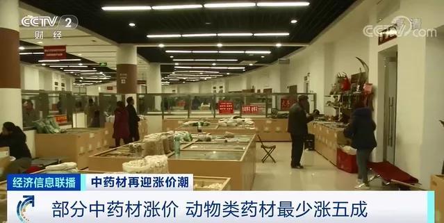 中药材涨价 这味药涨至20多万元1斤 发生了啥