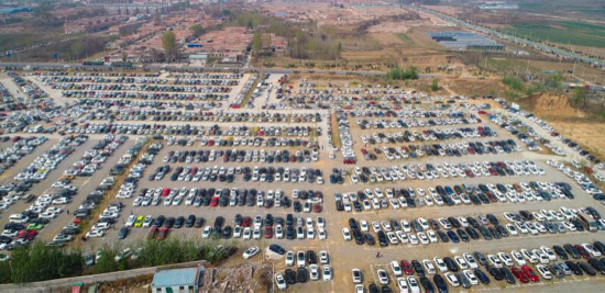 济南野生动物世界迎来客流高峰