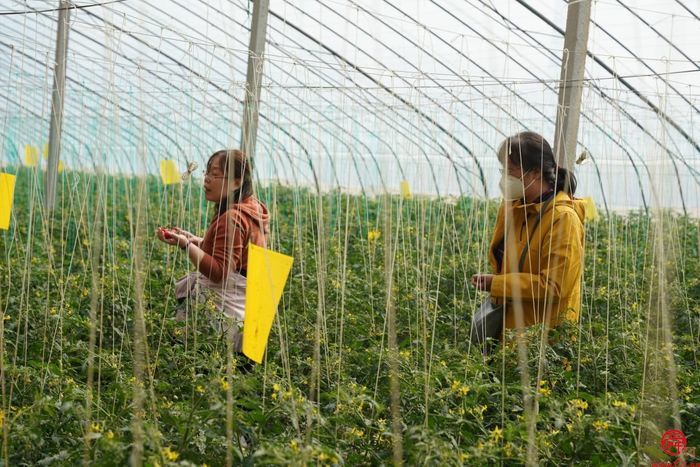 助力乡村振兴 共建美好家园