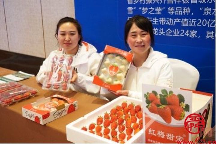 济南市盒马村授牌仪式暨农产品产业对接会成功举办