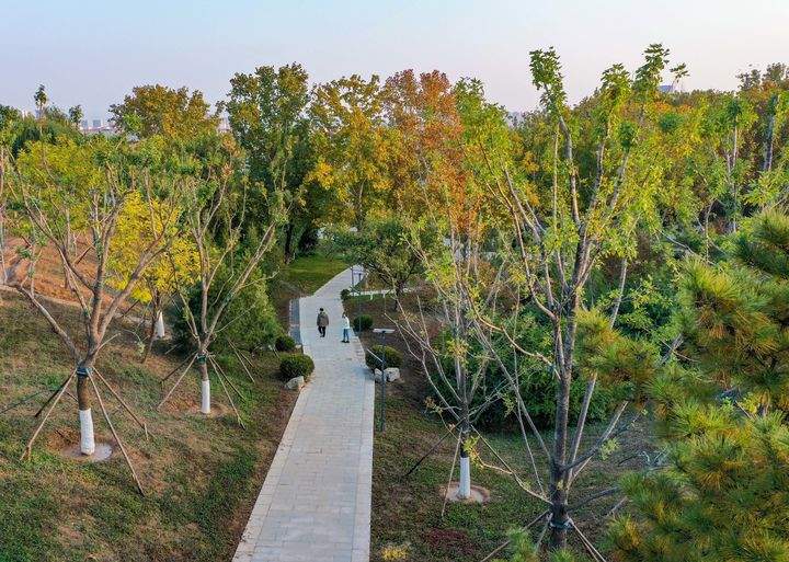 黄河岸边因地制宜强化游憩功能，新增“下沉式”生态公园