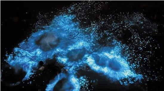 浙江沿海网友围观“蓝眼泪” 专家:实为一种赤潮