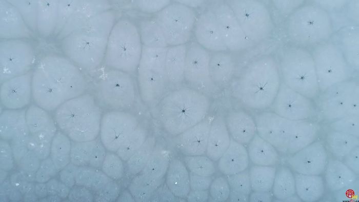 【飞阅泉城】冰河入画 兴济河河道宛如显微镜下微观世界