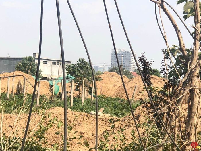 【啄木鸟行动】槐荫区孟王庄村渣土裸露堆放