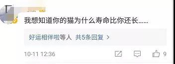 95后姑娘立遗嘱财产留给猫！网友发出灵魂拷问！律师这样回应……