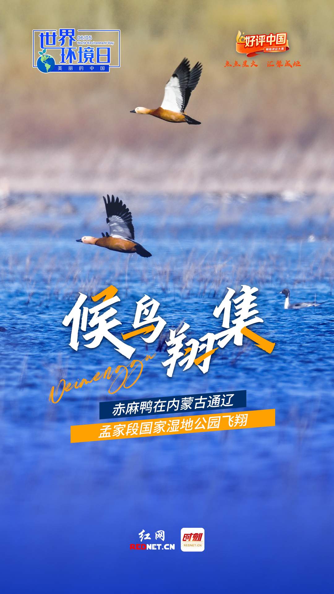 好评中国·海报丨世界环境日，一个美丽中国的底气