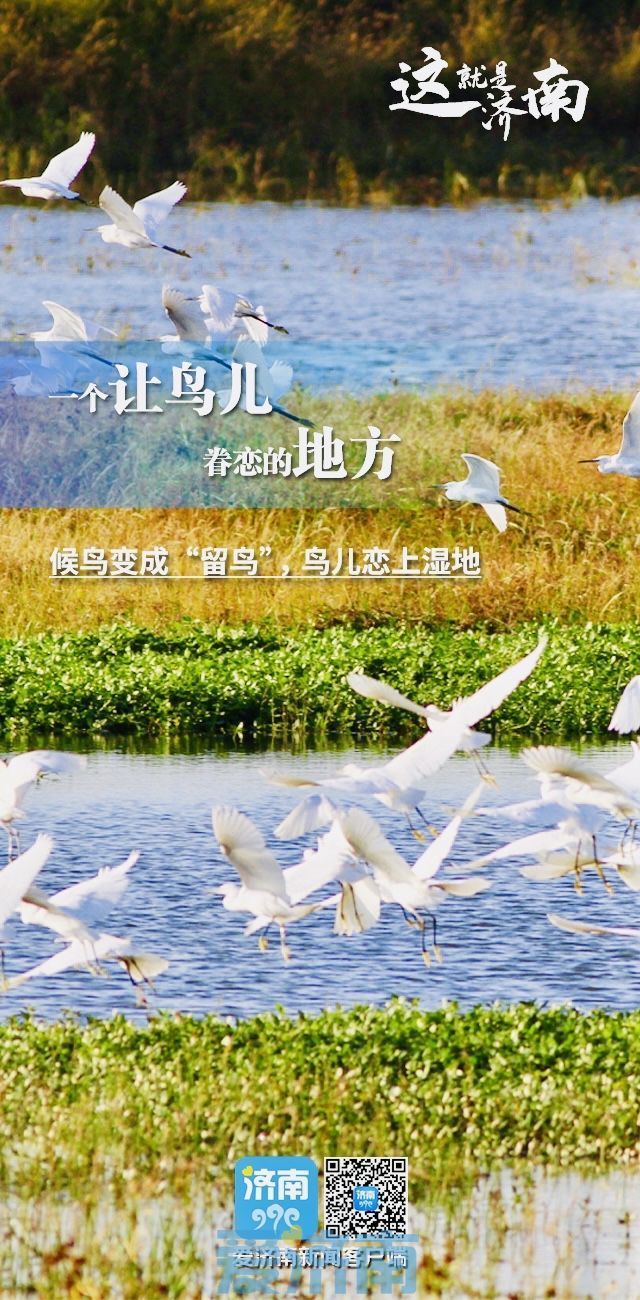 中国生态文明论坛生态海报丨每一帧的泉城都美出圈