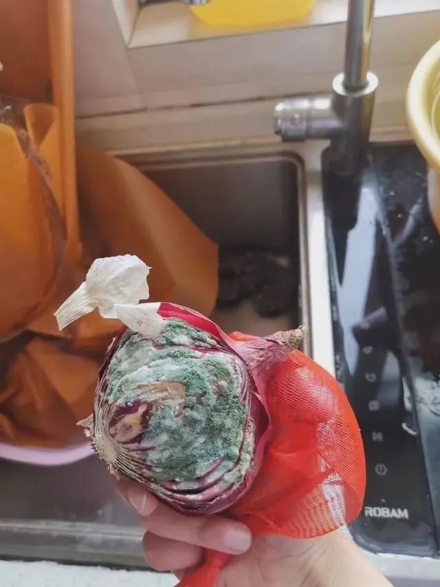 扎心了！女护士援鄂67天回家打开房门一瞬间惊呆，网友笑疯：太现实了