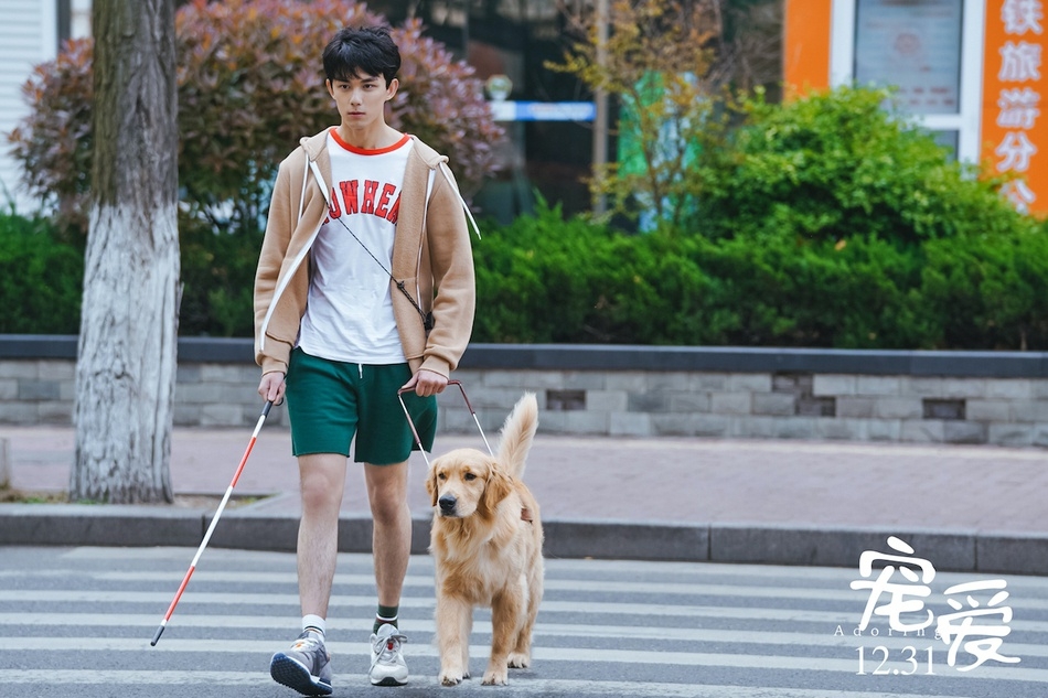 最萌身高差！吴磊张子枫拍戏惊现“劈叉抱”笑翻网友