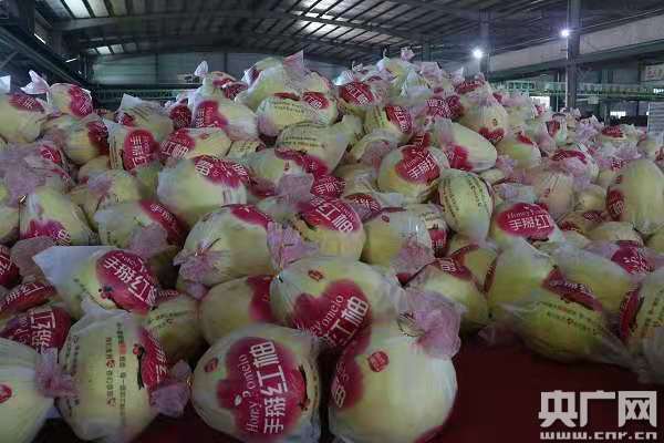 【粤来粤好】挖掘新时代广东鲜活案例 触摸高质量发展“脉搏”