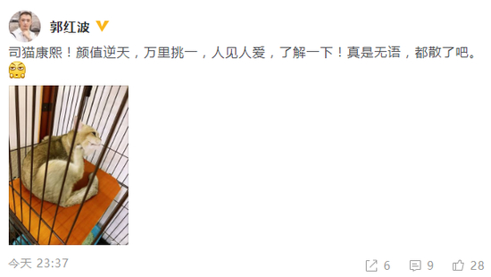 金晨方否认恋情，贾乃亮晒订单 原来明星也买14元手机壳?
