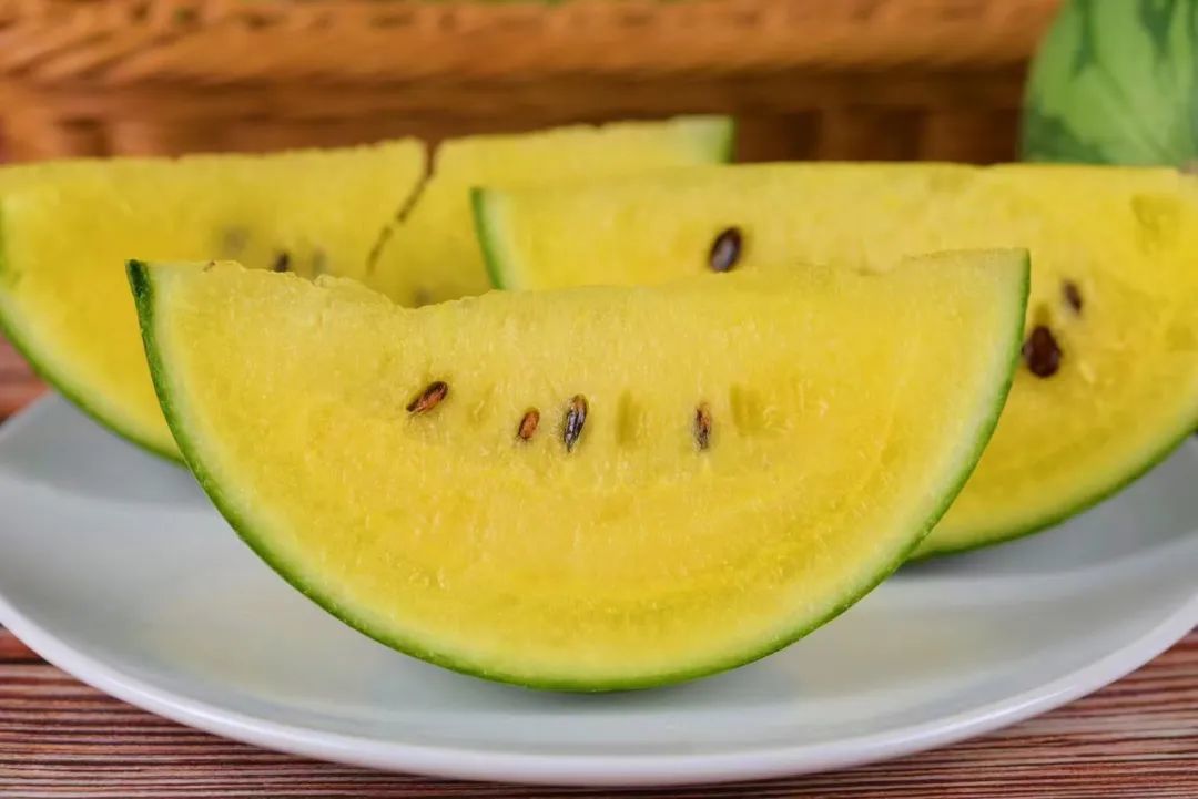 西瓜穿网兜、住空中～济南大姐黄河边建500亩“吃瓜”小镇