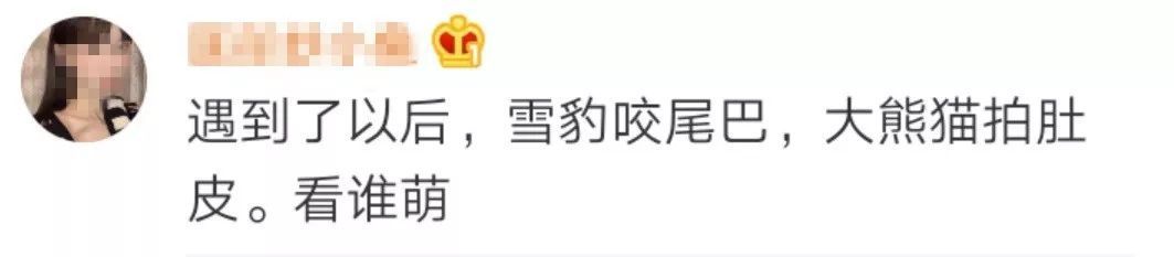 雪豹遇上大熊猫？网友：这是“华山论可爱”