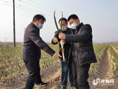 省派德州市省政府办公厅工作组深入联系点全面开展工作