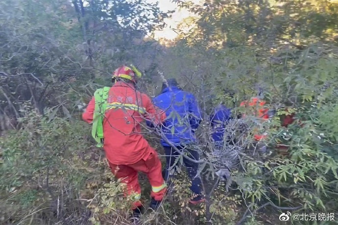 北京俩游客爬山时被土蜂蜇伤，119和120紧急上山救助