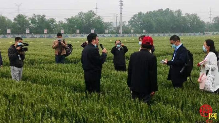 打造“北方种业之都”有底气，济南市政协开展现场商量