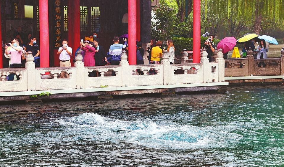 千泉竞涌叮咚响 诗境济南醉人心