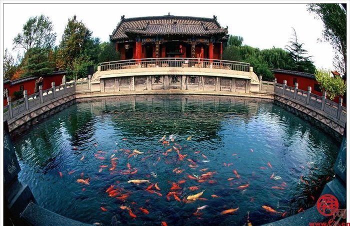 15秒短视频与《三泉溪暖》一起登上山东卫视