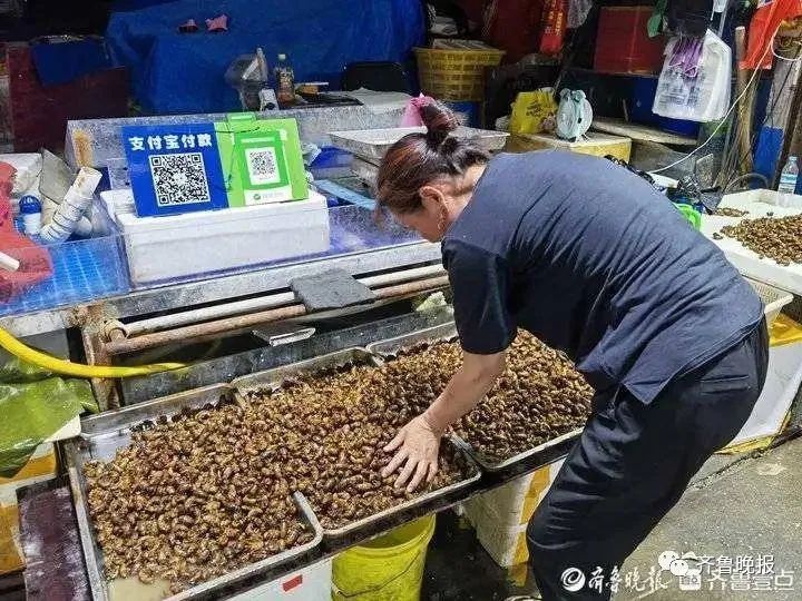 知了猴110元一斤，今年涨10-15元！网友：摸的人比知了猴还多